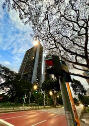 Alex Residences (D3), Apartment #580206981